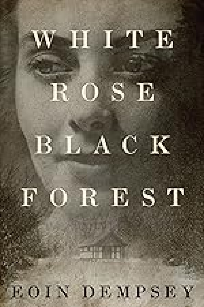 Free Download White Rose, Black Forest by Eoin Dempsey