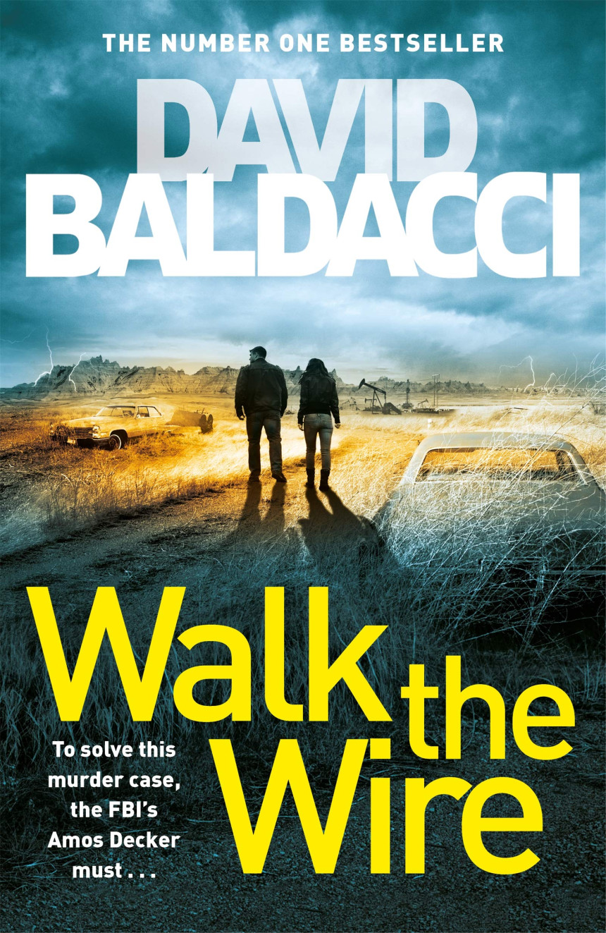 Free Download Amos Decker #6 Walk the Wire by David Baldacci