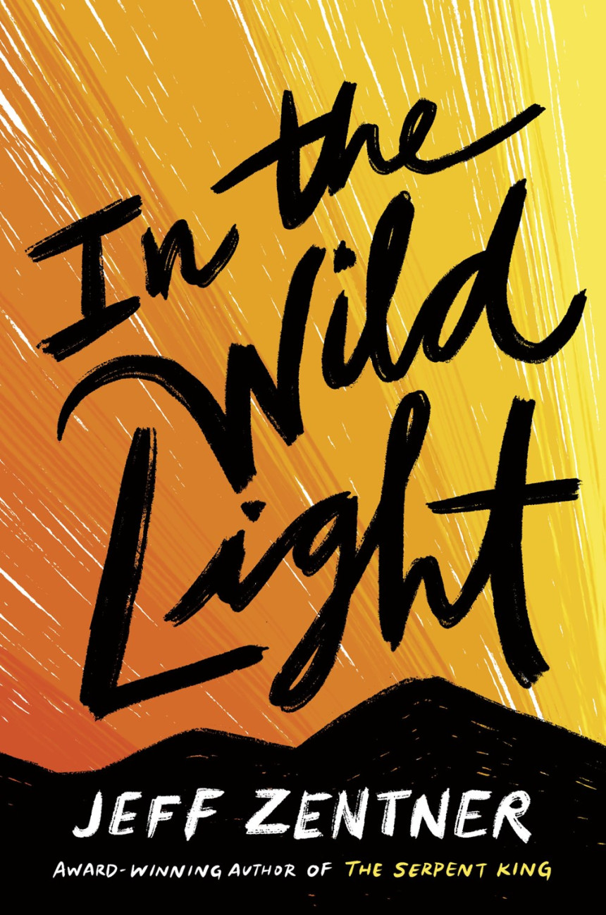 Free Download In the Wild Light by Jeff Zentner