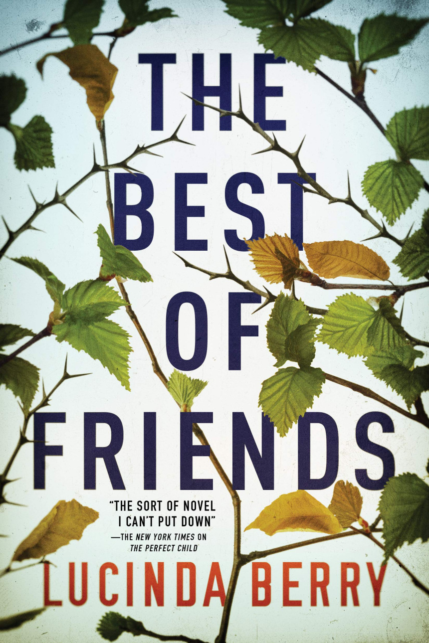 Free Download The Best of Friends by Lucinda Berry