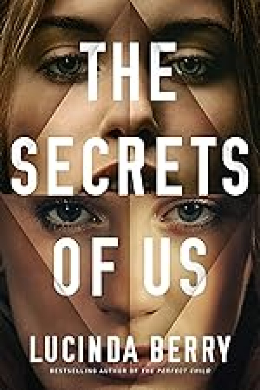 Free Download The Secrets of Us by Lucinda Berry