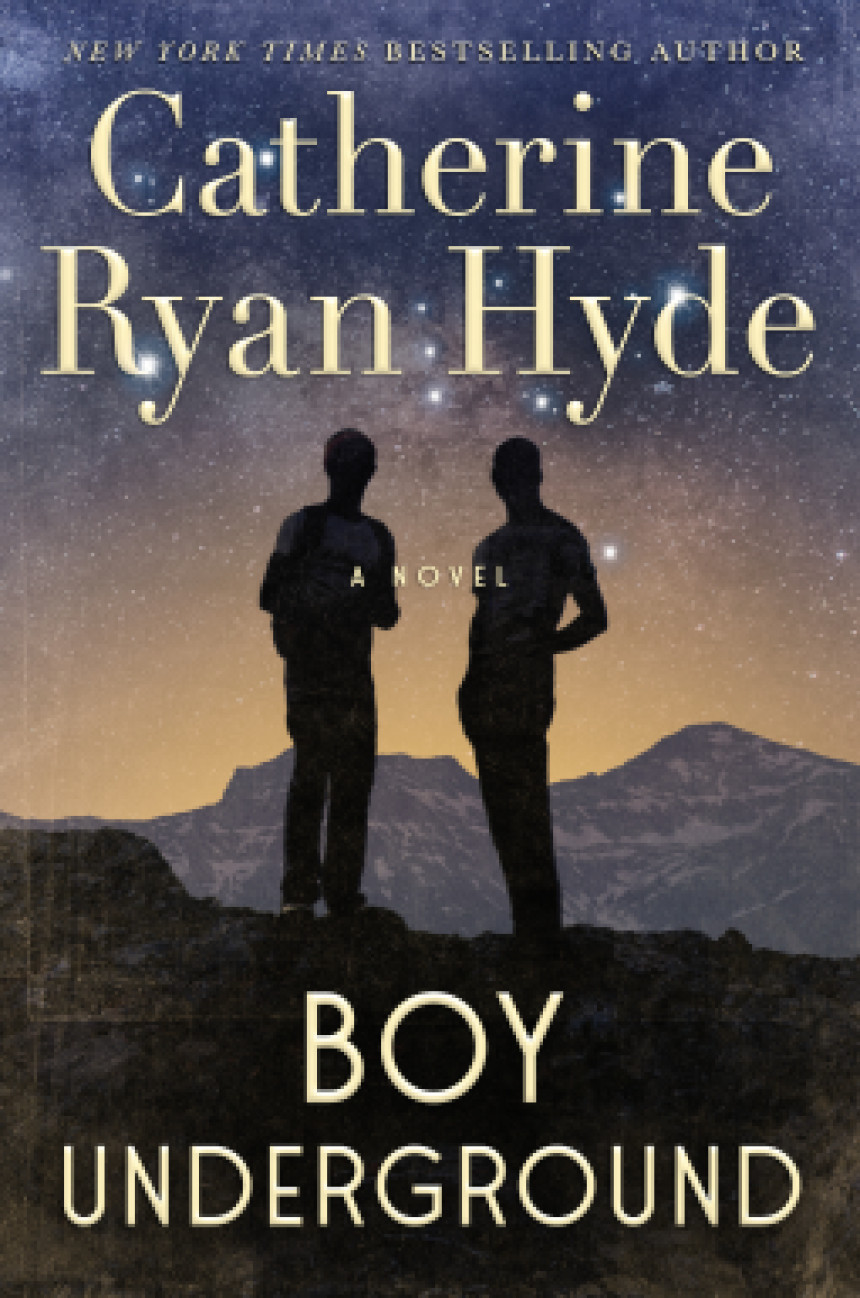 Free Download Boy Underground by Catherine Ryan Hyde