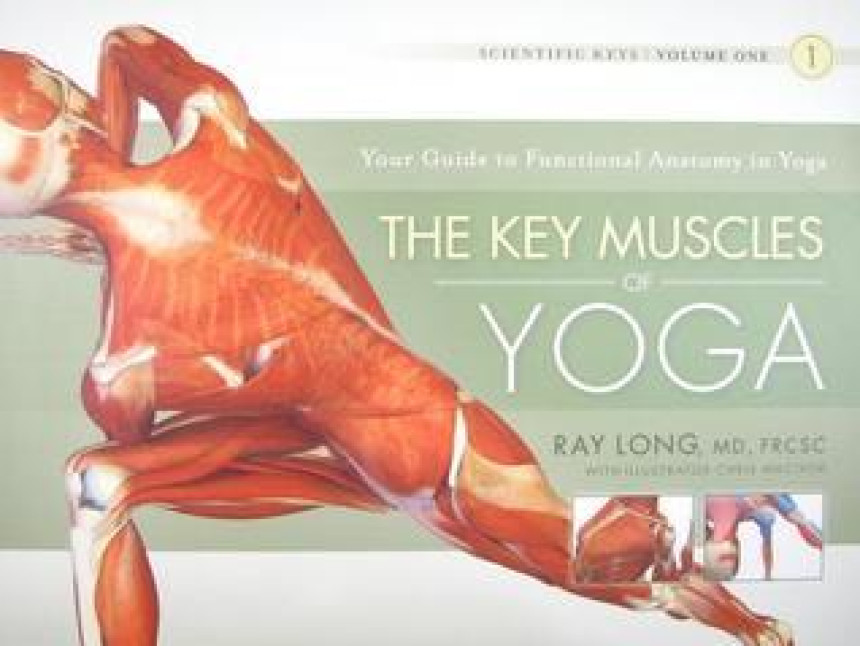 Free Download Scientific Keys #1 The Key Muscles of Yoga: Scientific Keys, Volume I by Ray Long ,  Ray Long