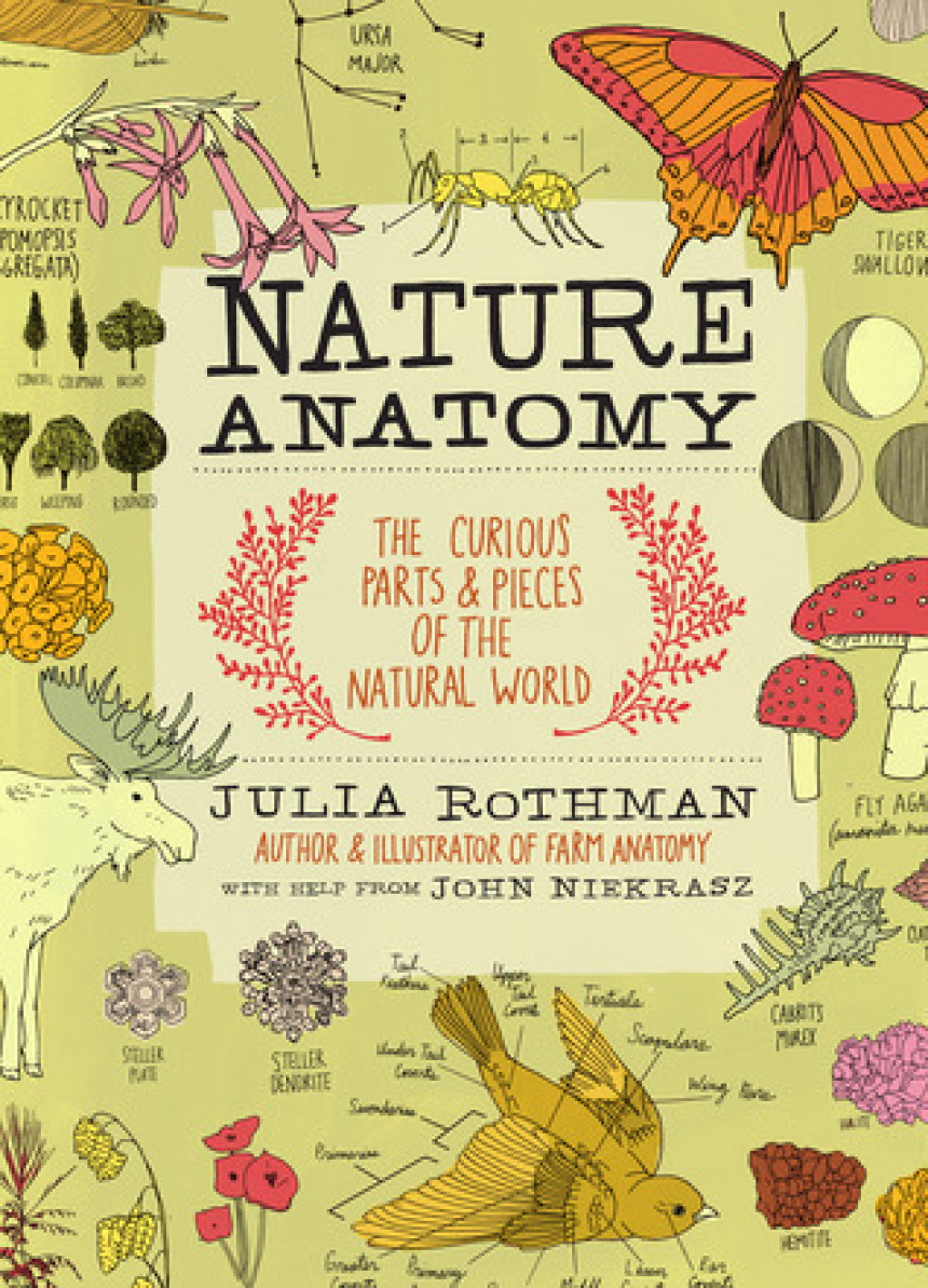 Free Download Anatomy Nature Anatomy by Julia Rothman