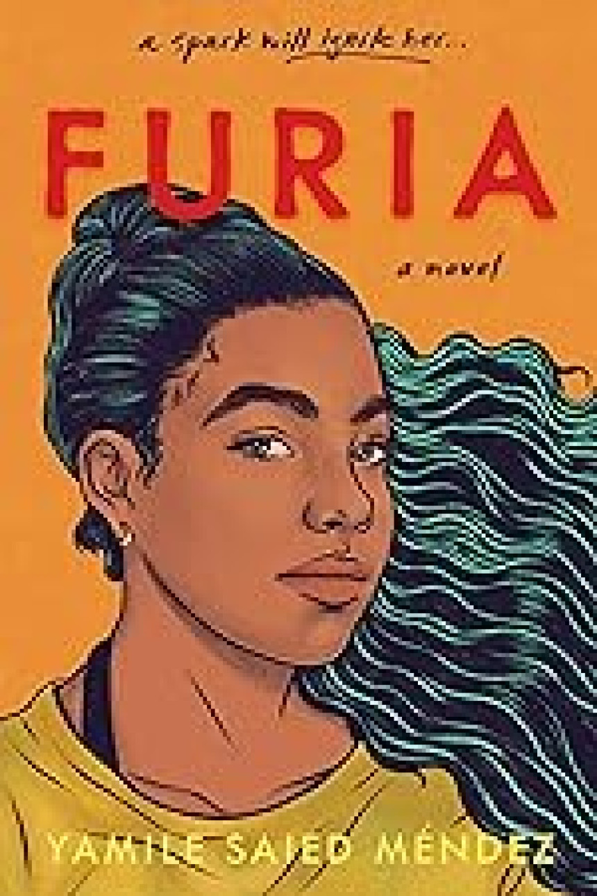 Free Download Furia by Yamile Saied Méndez