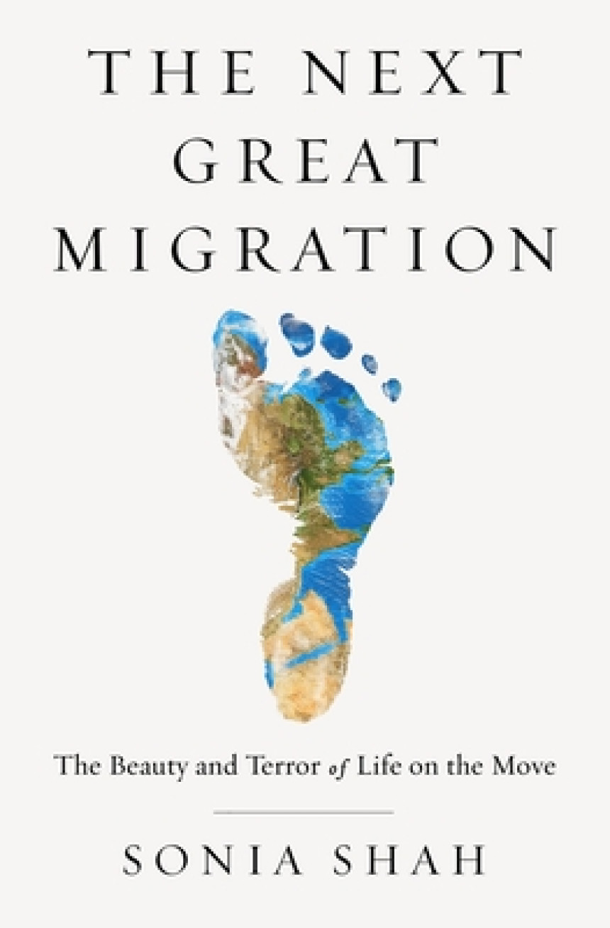 Free Download The Next Great Migration: The Beauty and Terror of Life on the Move by Sonia Shah