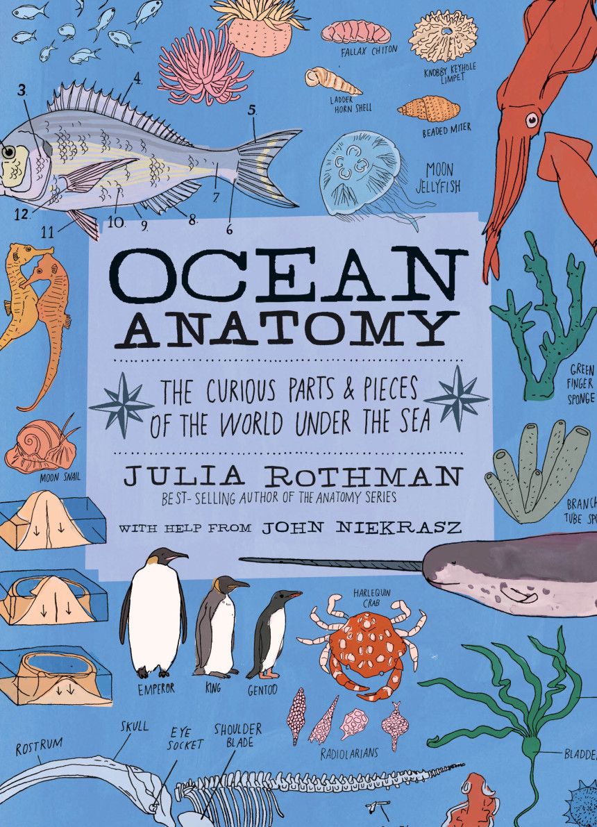 Free Download Anatomy Ocean Anatomy: The Curious Parts and Pieces of the World under the Sea by Julia Rothman ,  John Niekrasz