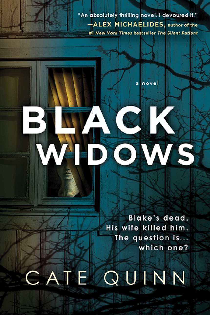 Free Download Black Widows by Cate Quinn