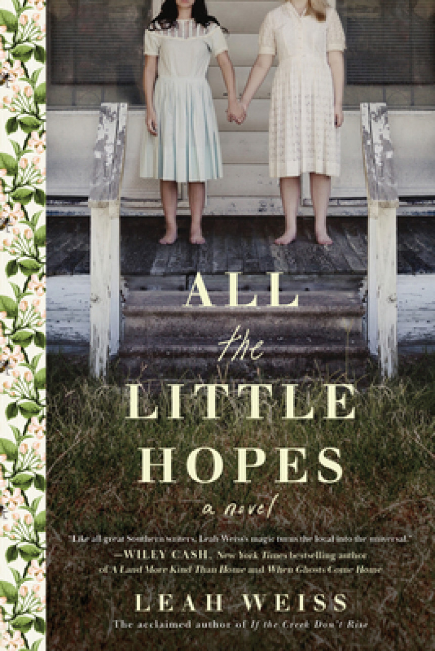 Free Download All the Little Hopes by Leah Weiss