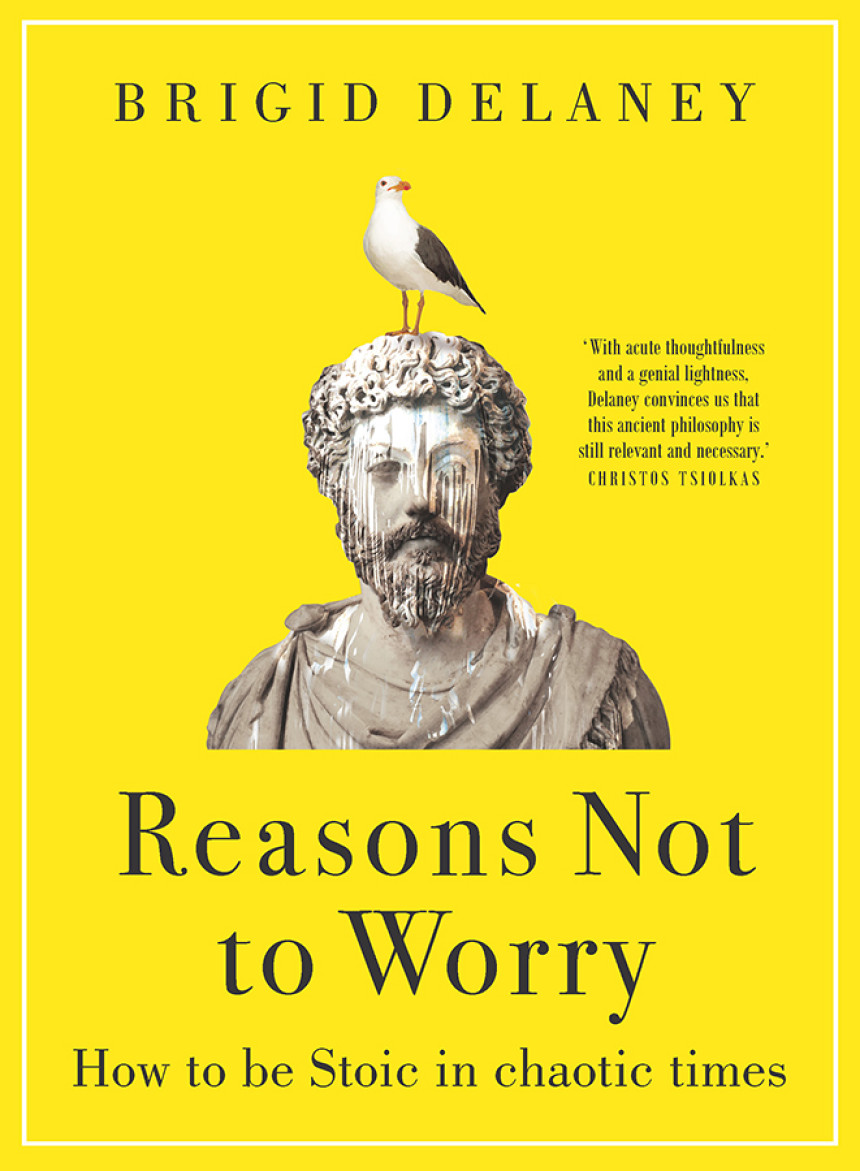 Free Download Reasons Not to Worry: How to Be Stoic in Chaotic Times by Brigid Delaney