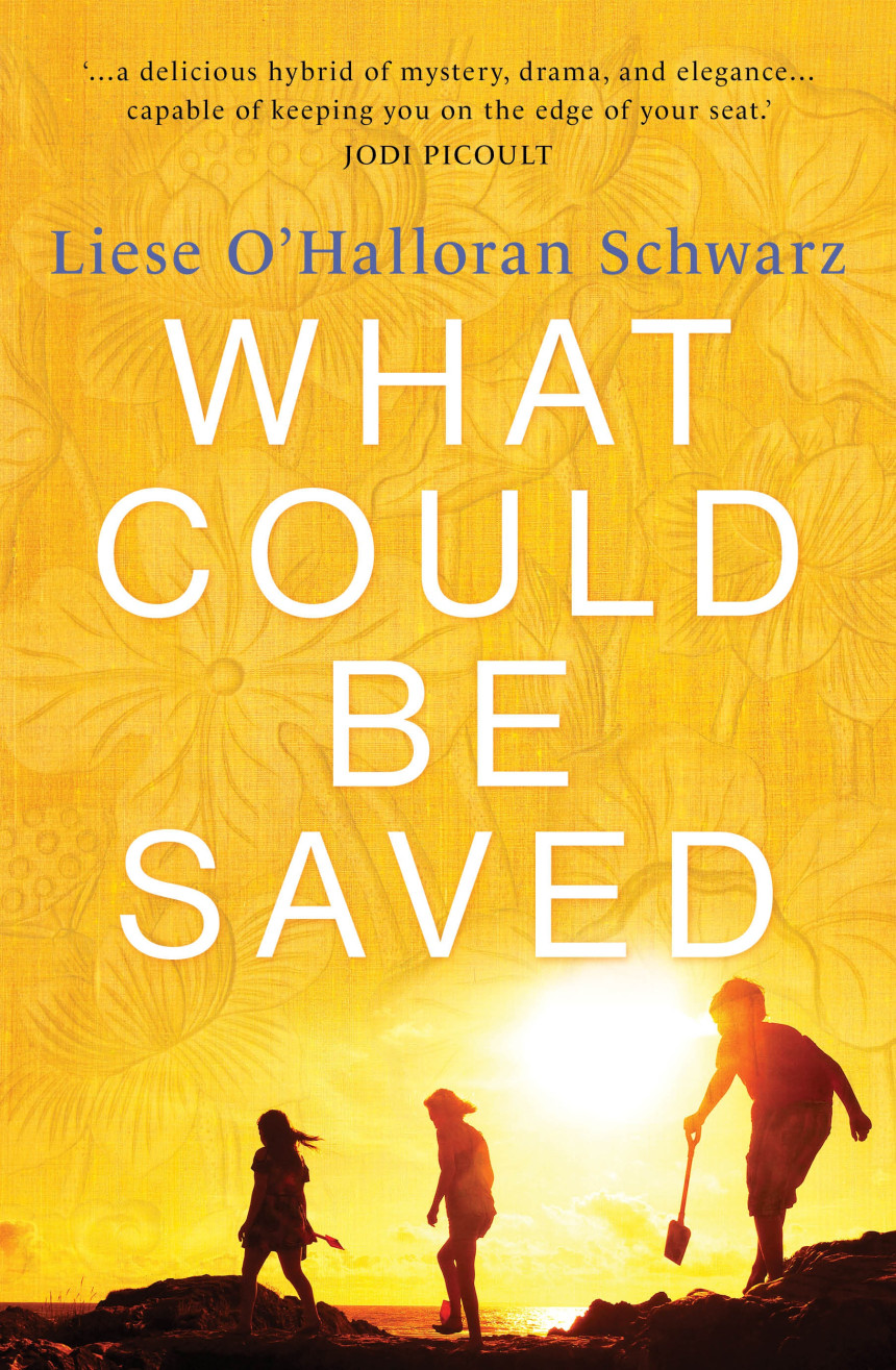 Free Download What Could Be Saved by Liese O'Halloran Schwarz