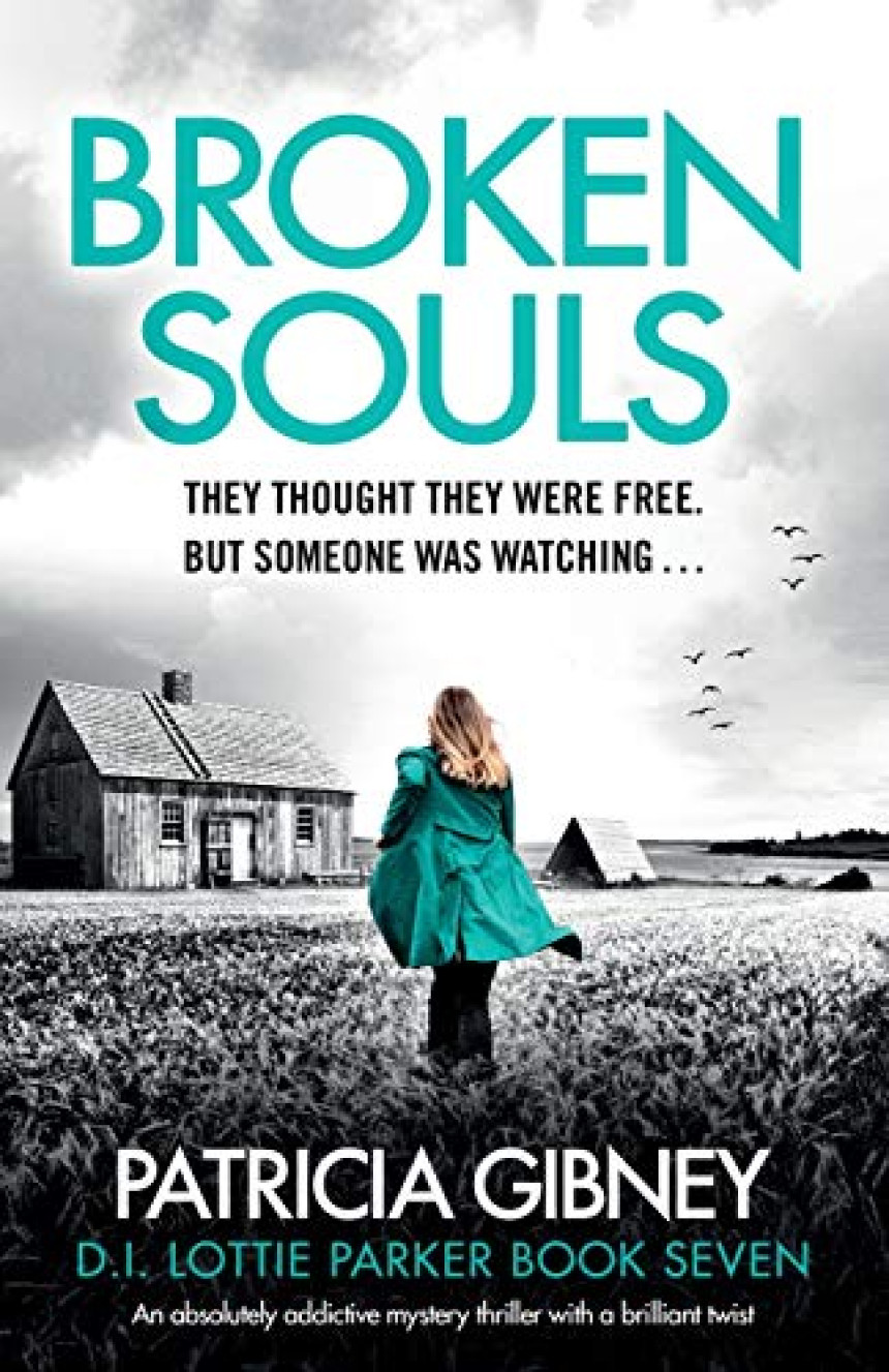 Free Download D.I. Lottie Parker #7 Broken Souls by Patricia Gibney