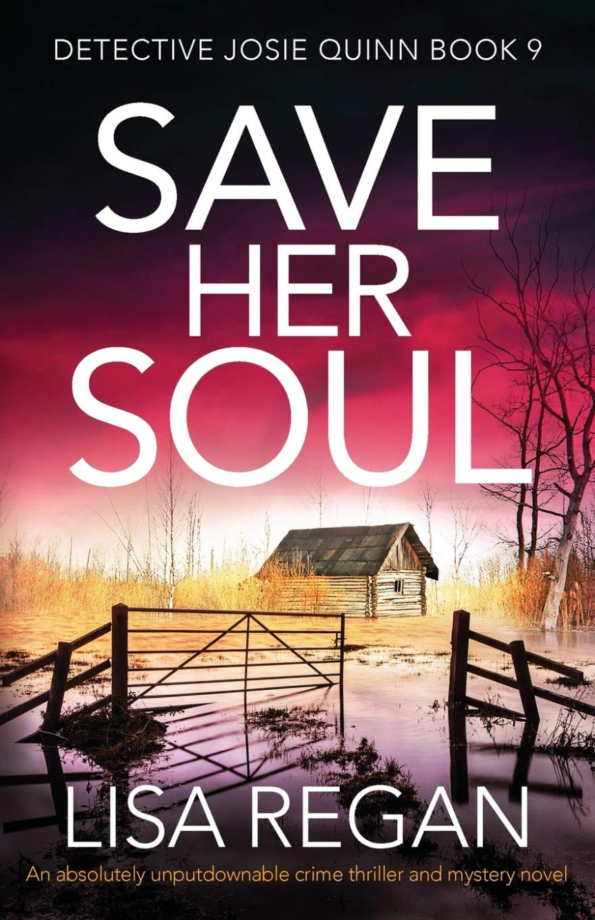 Free Download Detective Josie Quinn #9 Save Her Soul by Lisa Regan