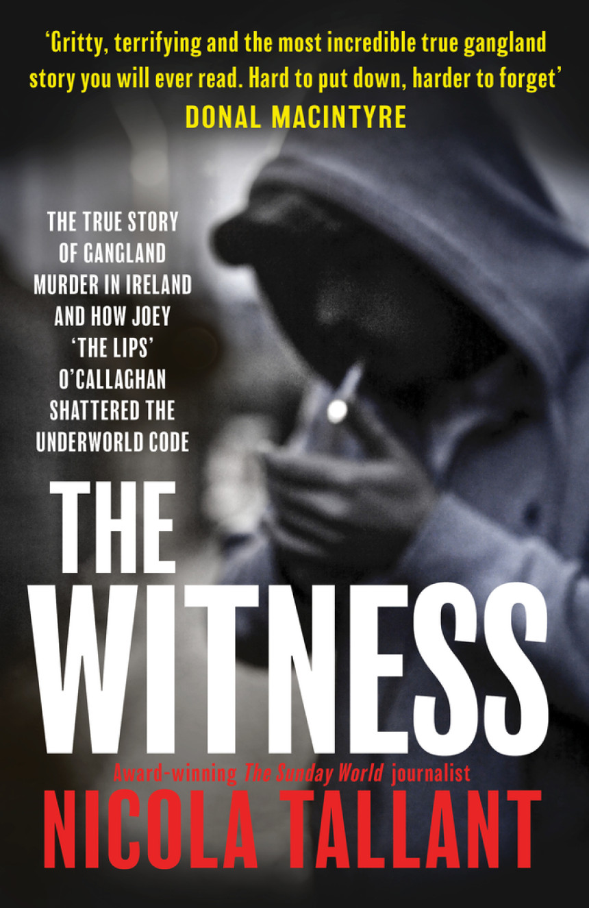 Free Download The Witness by Nicola Tallant