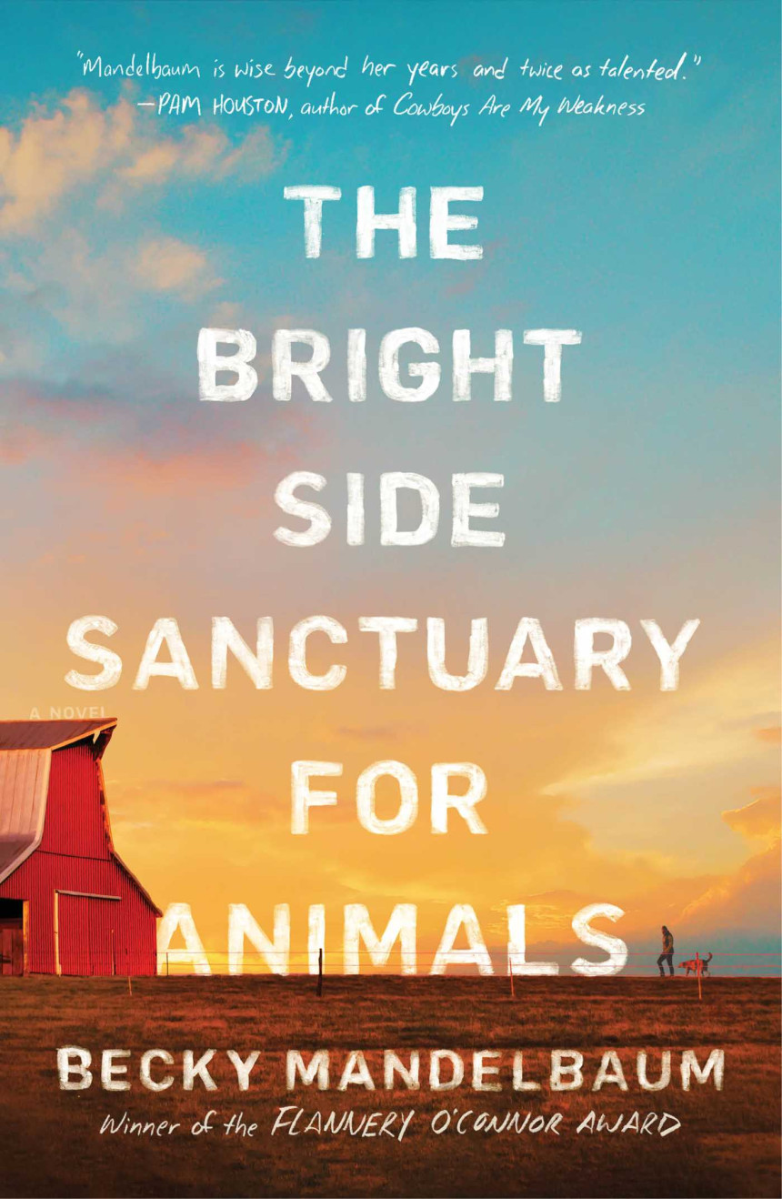 Free Download The Bright Side Sanctuary for Animals by Becky Mandelbaum