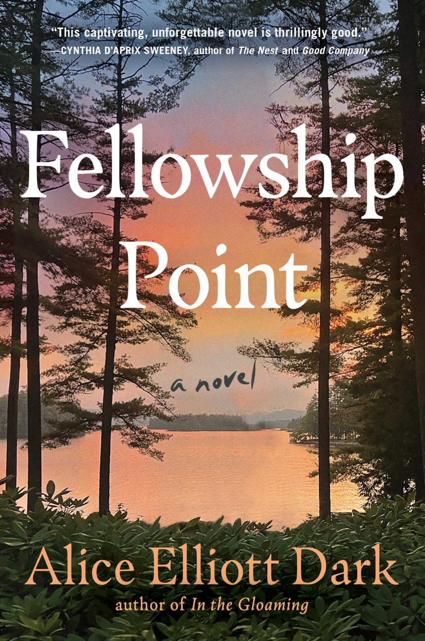 Free Download Fellowship Point by Alice Elliott Dark