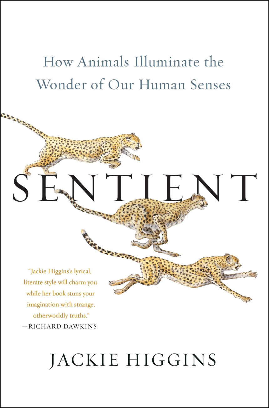 Free Download Sentient: How Animals Illuminate the Wonder of Our Human Senses by Jackie Higgins