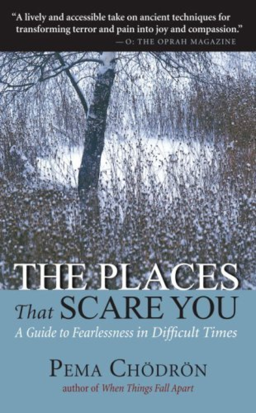 Free Download The Places That Scare You: A Guide to Fearlessness in Difficult Times by Pema Chödrön