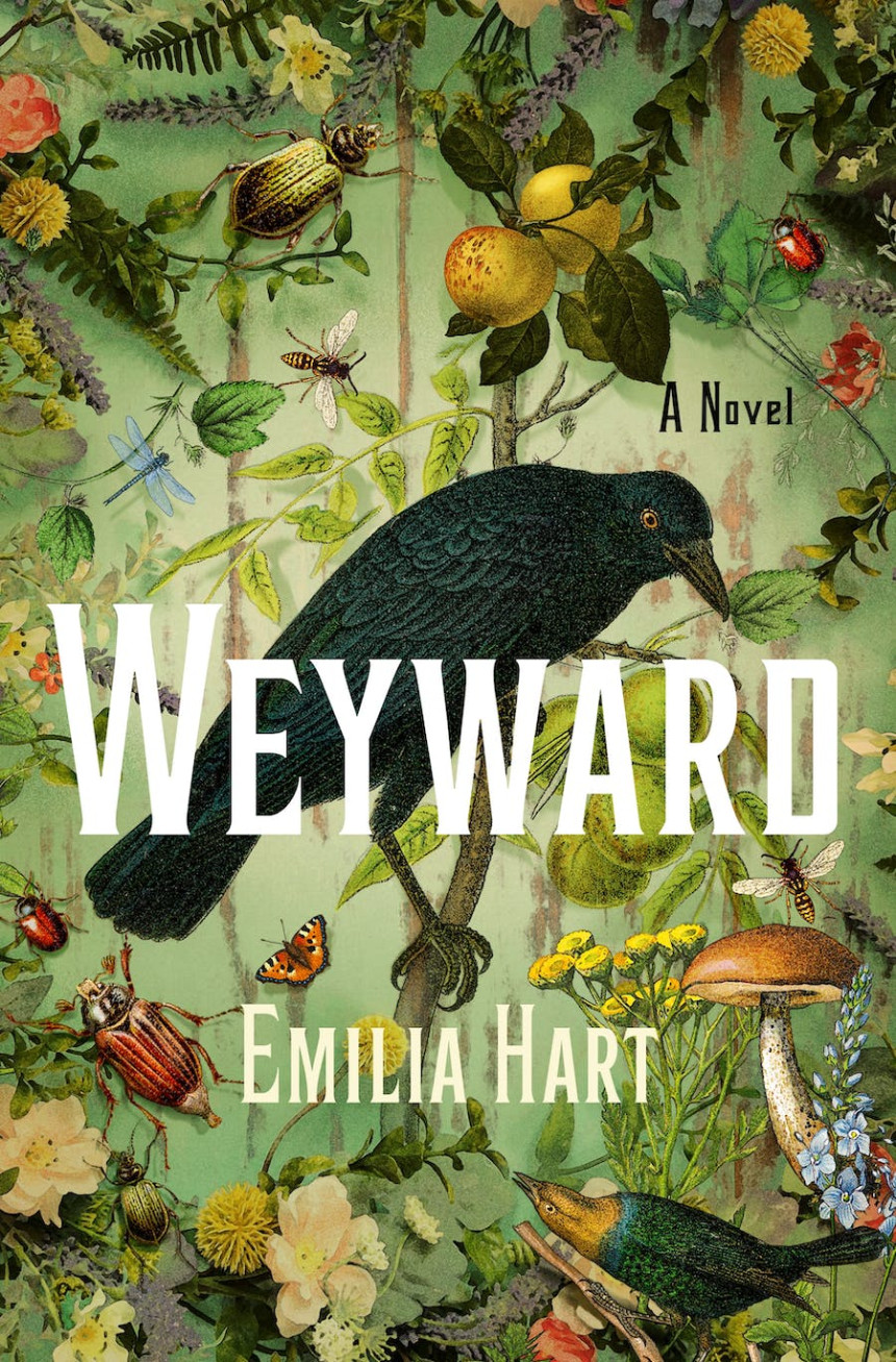 Free Download Weyward by Emilia Hart