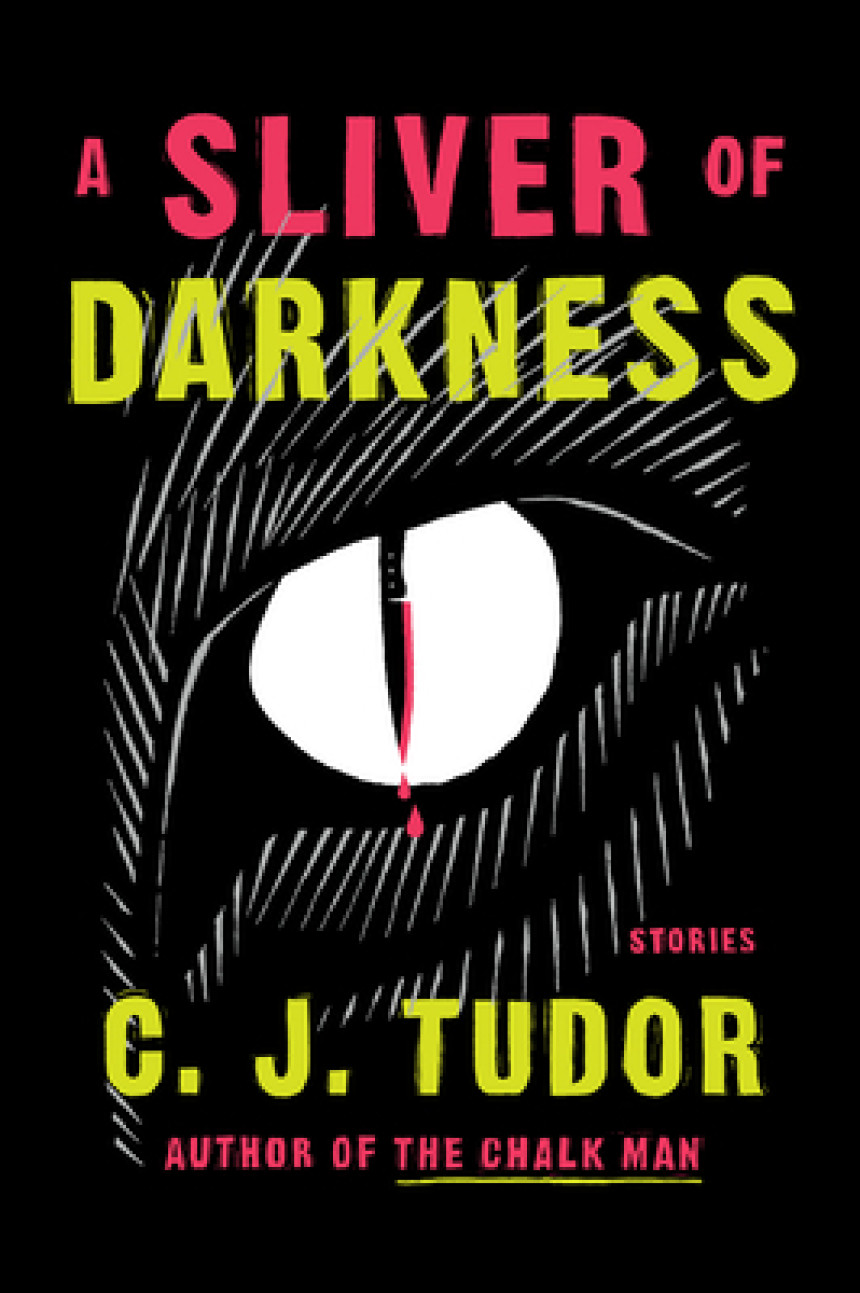 Free Download A Sliver of Darkness by C.J. Tudor