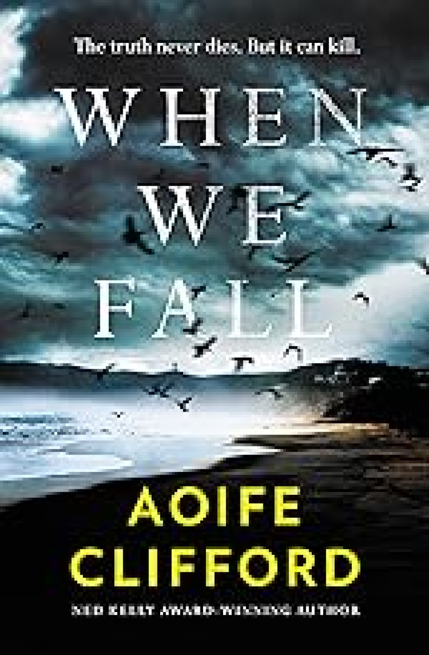 Free Download When We Fall by Aoife Clifford