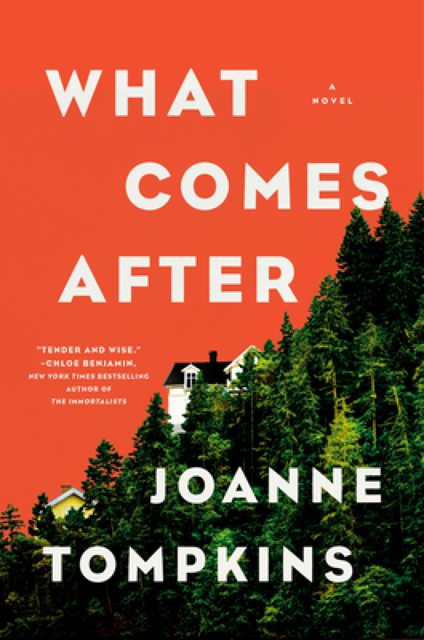 Free Download What Comes After by JoAnne Tompkins