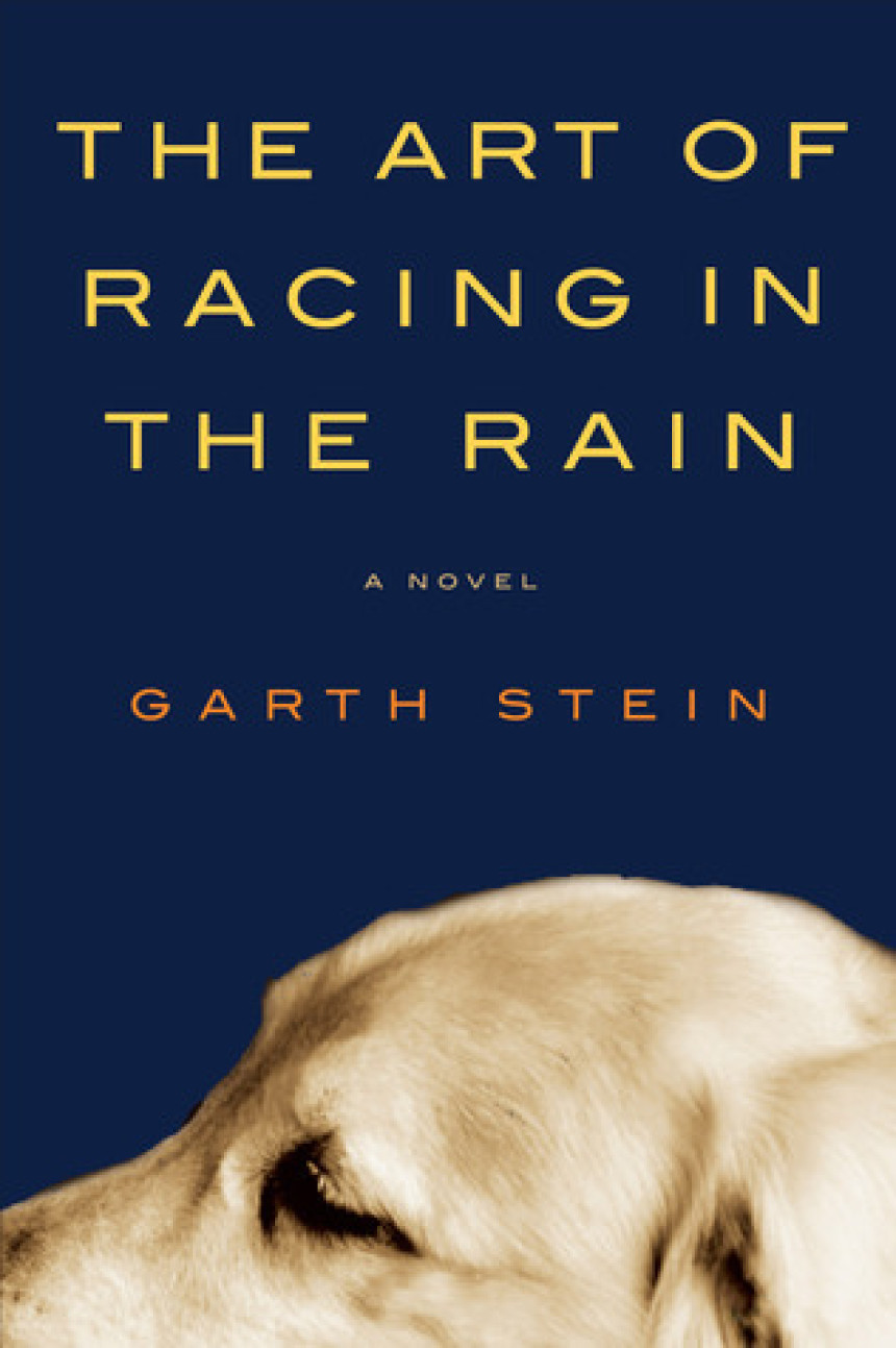 Free Download The Art of Racing in the Rain by Garth Stein