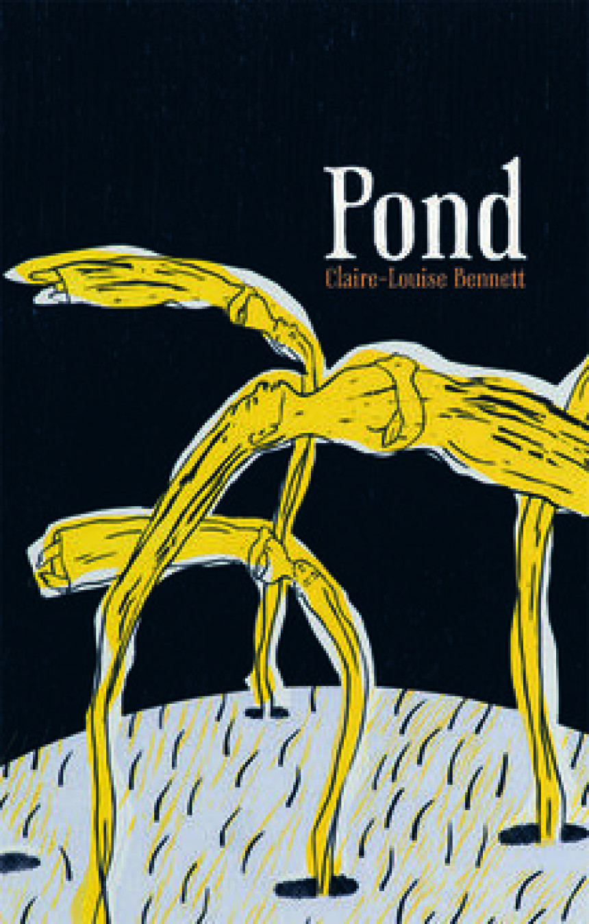 Free Download Pond by Claire-Louise Bennett