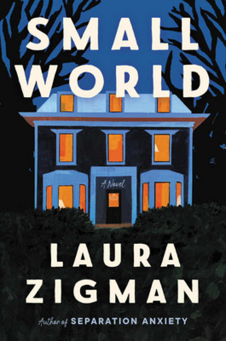 Free Download Small World by Laura Zigman