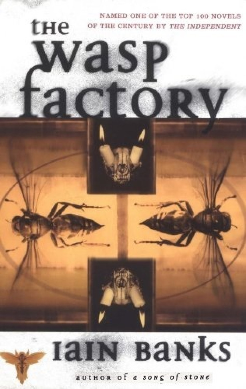 Free Download The Wasp Factory by Iain Banks