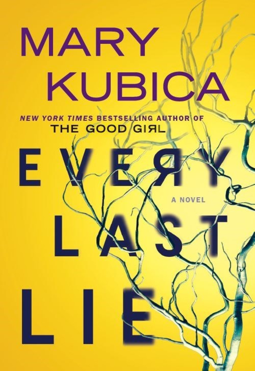 Free Download Every Last Lie by Mary Kubica