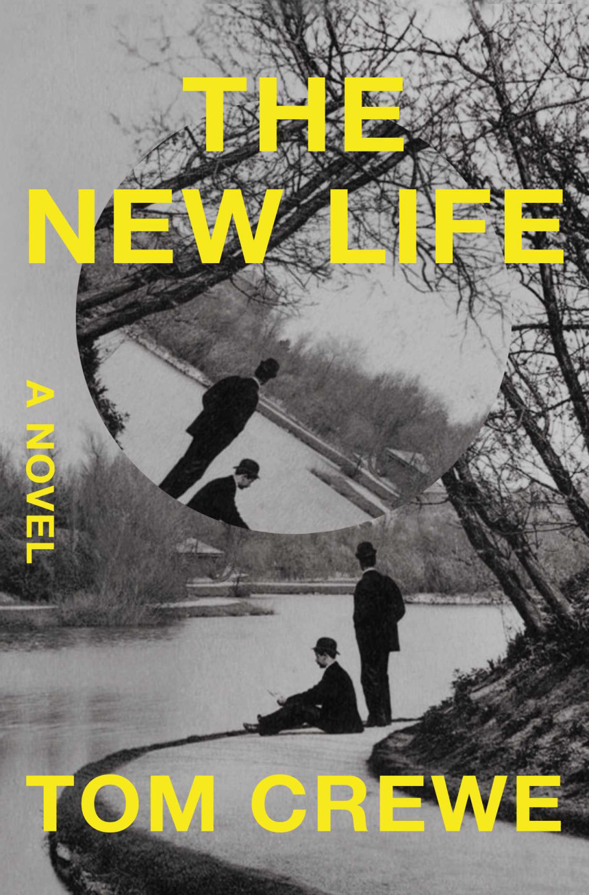 Free Download The New Life by Tom Crewe