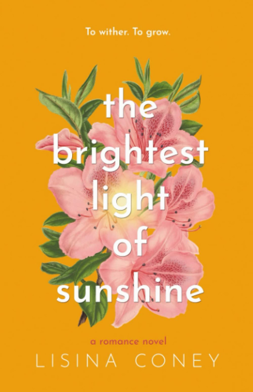 Free Download The Brightest Light #1 The Brightest Light of Sunshine by Lisina Coney