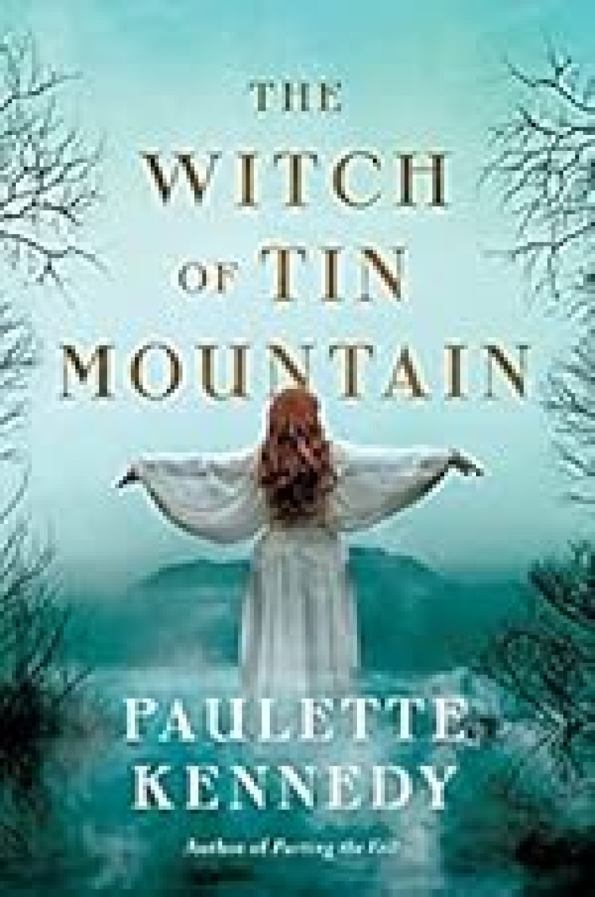 Free Download The Witch of Tin Mountain by Paulette Kennedy