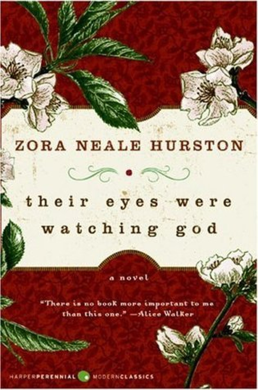 Free Download Their Eyes Were Watching God by Zora Neale Hurston