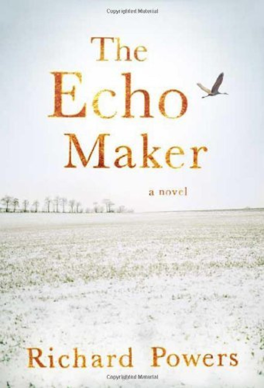 Free Download The Echo Maker by Richard Powers